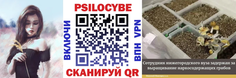 мега как зайти Самара Галлюциногенные грибы MAGIC MUSHROOMS как найти